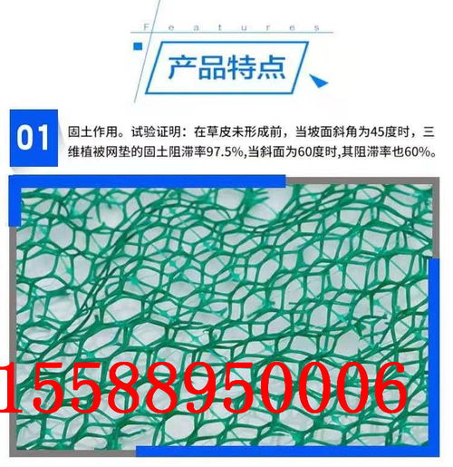 阳江三维植被土工网垫 生态护坡的优选材料
